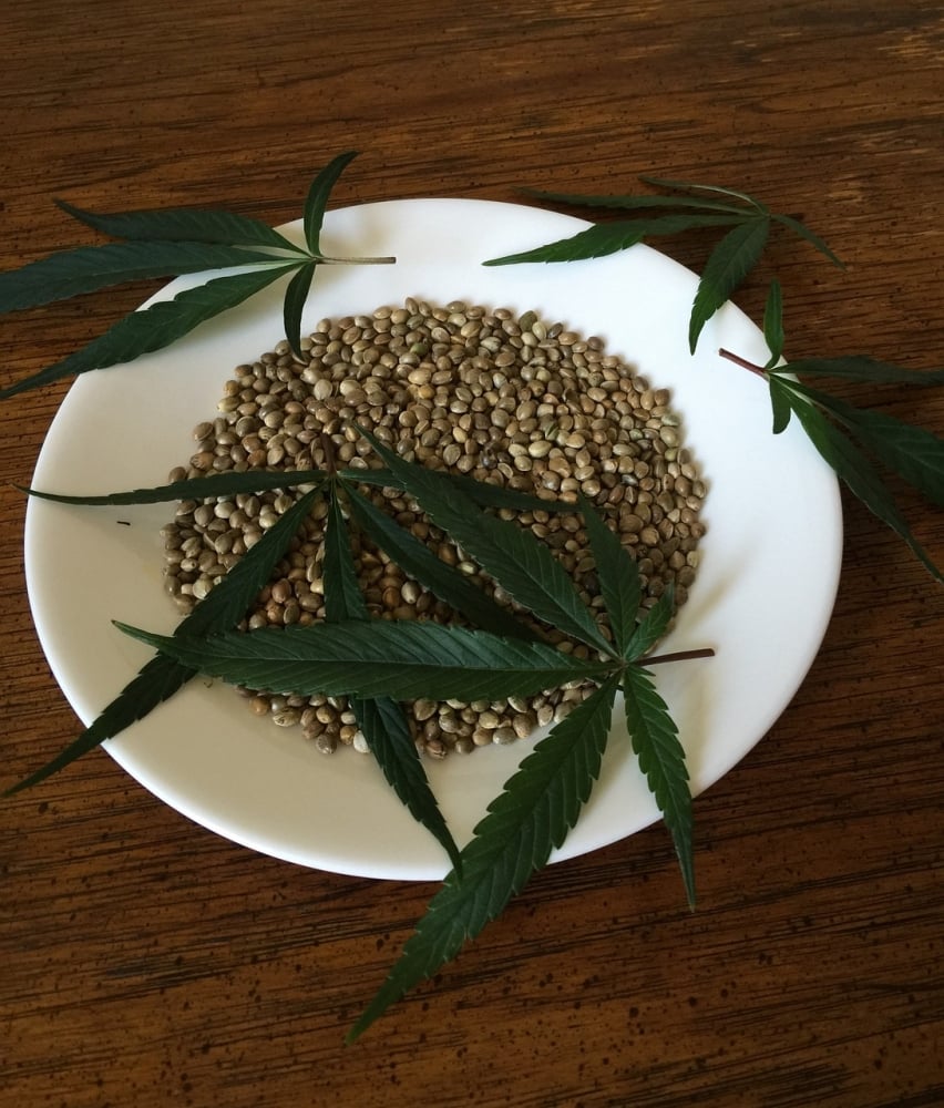 Your Go-To Online Store: Buying Cannabis Seeds from Discount Cannabis Seeds