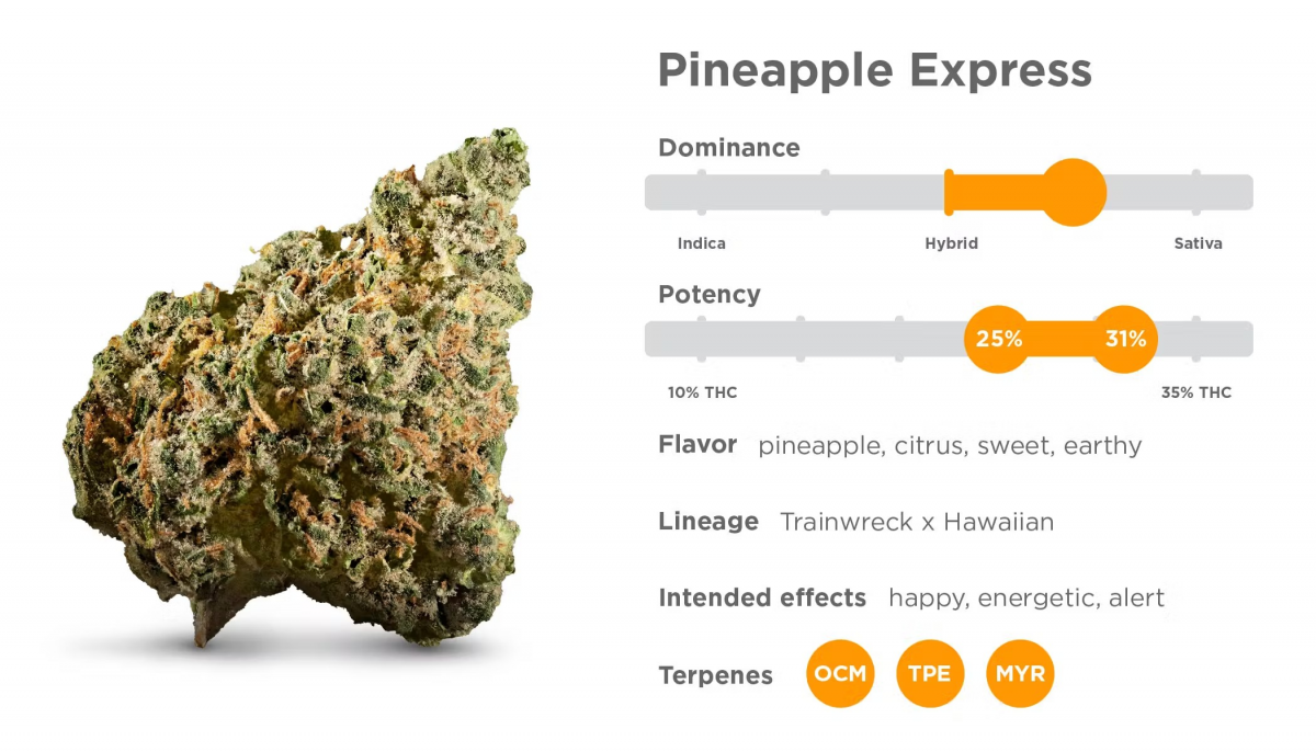 Remarkable Benefits and Features of Pineapple Express Cannabis Seeds.