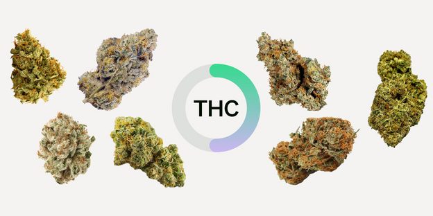 Cannabis effects: Why Weed Gets You High - RQS Blog