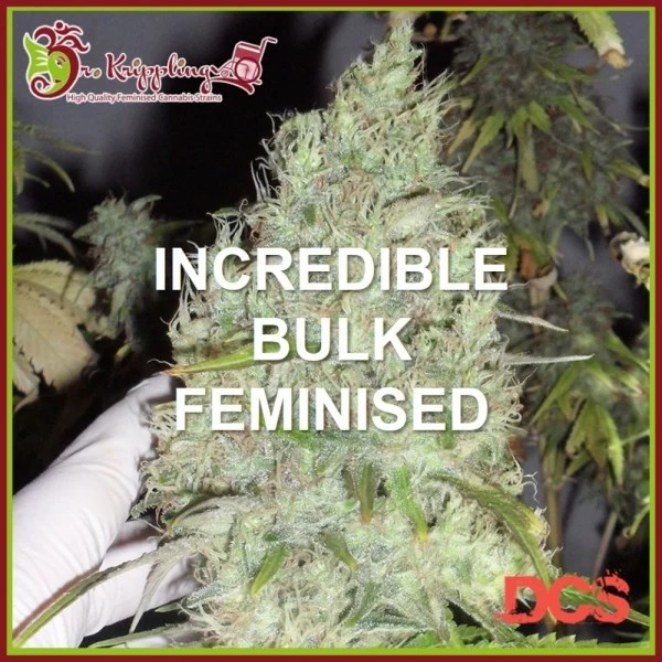 Unleashing the Power of Incredible Bulk Cannabis Seeds.