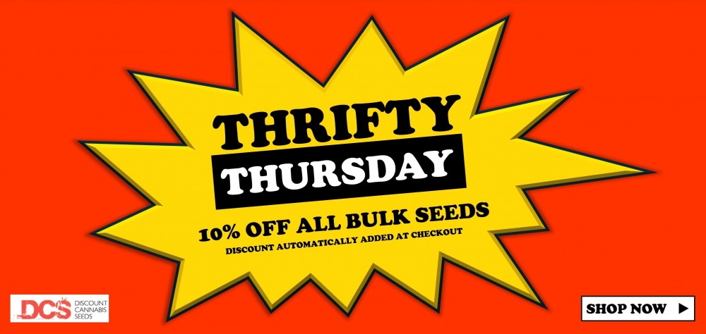 Maximizing Thrifty Thursdays at Discount Cannabis Seeds.