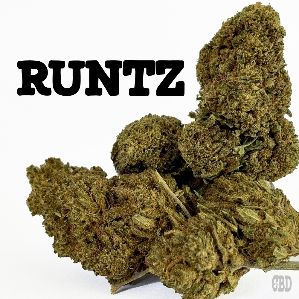 The Power of Runtz Cannabis Seeds at Discount Cannabis Seeds