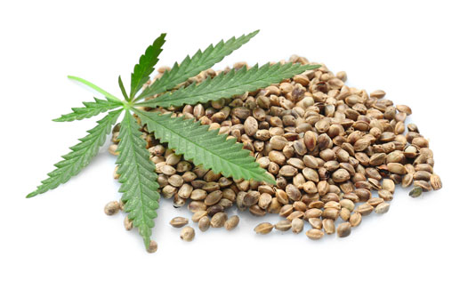 Unlock the Medicinal Benefits of Medical Cannabis Seeds.