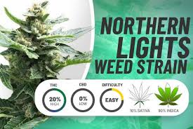 Echte Geschichten von Kunden mit Northern Lights Cannabissamen.