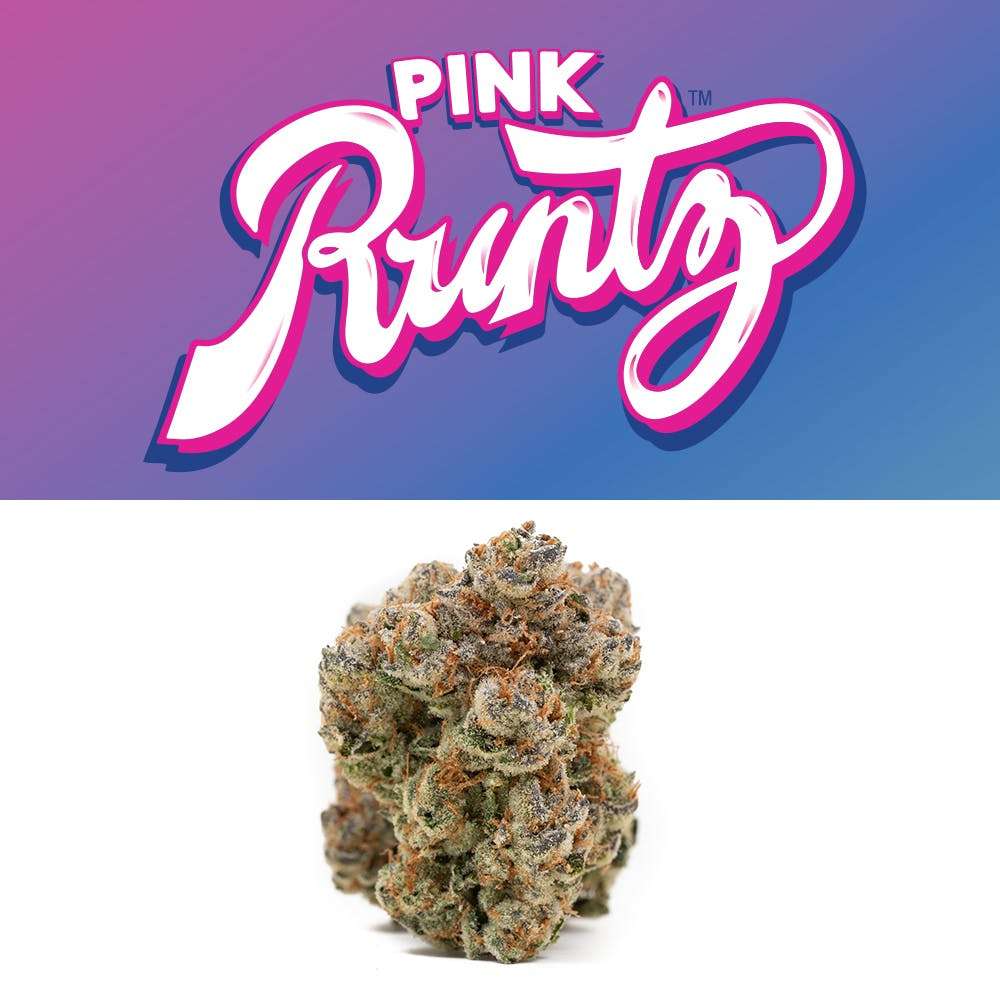 A Comprehensive Introduction to Pink Runtz Cannabis Seeds.