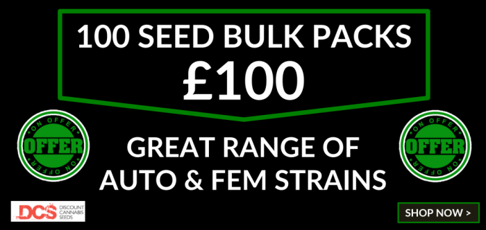 High-Quality Bulk Cannabis Seeds £100 for 100 Seeds.