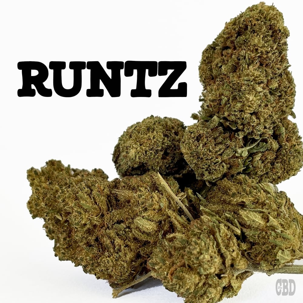 Runtz cannabis seeds available to buy at Discount Cannabis Seeds