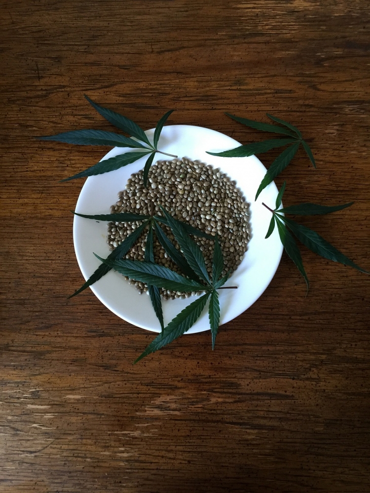 Power of Sativa Cannabis Seeds Strains on Mind and Body.