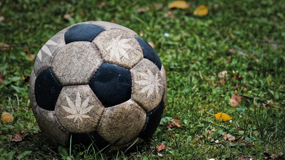 The Winning Lineup: Football-Themed Cannabis Seeds.