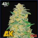 Auto AK Feminised Cannabis Seeds | Fast Buds Originals