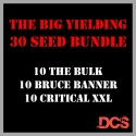 Big Yield Bundle Feminised Seeds - Discount Cannabis Seeds