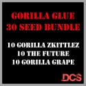 Gorilla Glue Bundle Feminised Seeds - Discount Cannabis Seeds