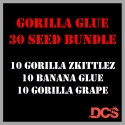 Gorilla Glue Bundle Feminised Seeds - Discount Cannabis Seeds