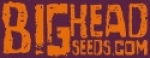 Big Head Seeds | Discount Cannabis Seeds