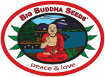 Big Buddha Cannabis Seeds | Discount Cannabis Seeds