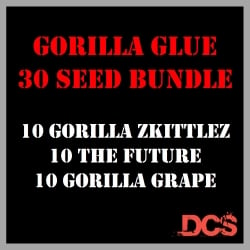 Gorilla Glue Bundle Feminised Seeds - Discount Cannabis Seeds