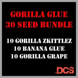 Gorilla Glue Bundle Feminised Seeds - Discount Cannabis Seeds