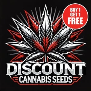 Discount Cannabis Seeds