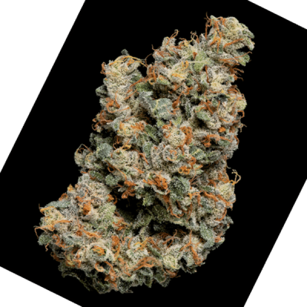 Jelly Donutz Feminised Cannabis Seeds- Terp Farmz.