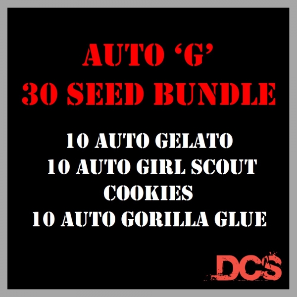 Auto 'G' Bundle Feminised Seeds - Discount Cannabis Seeds