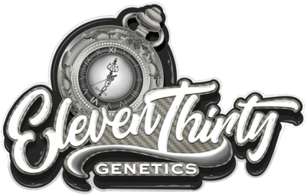 Eleven Thirty Genetics - Discount Cannabis Seeds