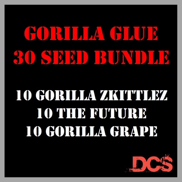 Gorilla Glue Bundle Feminised Seeds - Discount Cannabis Seeds