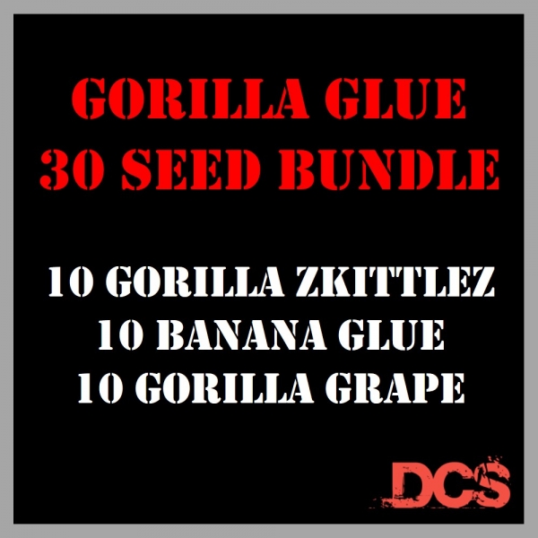 Gorilla Glue Bundle Feminised Seeds - Discount Cannabis Seeds