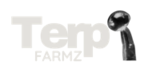 Terp Farmz - Discount Cannabis Seeds