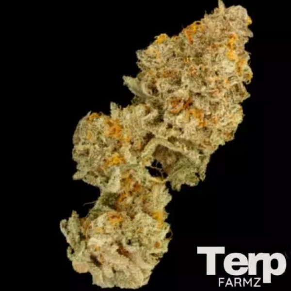 Zinger Cake Feminised Cannabis Seeds- Terp Farmz.