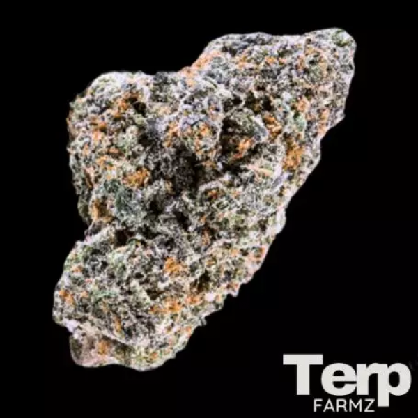 Blue Nerdz Auto Feminised Cannabis Seeds- Terp Farmz.