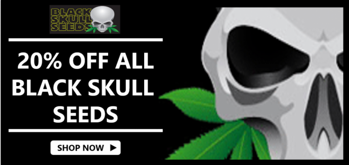 Black Skull Seeds - Discount Cannabis Seeds