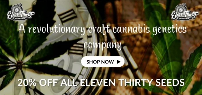 20% OFF ELEVEN THIRTY SEEDS - Discount Cannabis Seeds