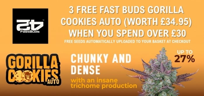 Free Fast Buds Gorilla Cookies Auto