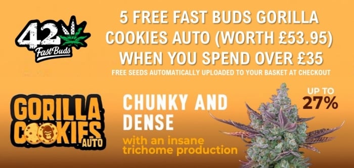 5 Free Fast Buds Gorilla Cookies Auto - Discount Cannabis Seeds