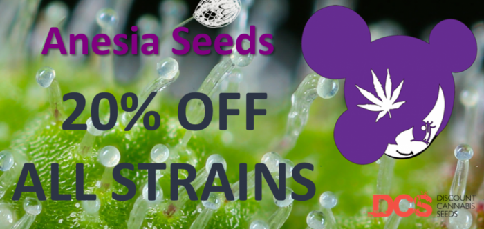 20% Off Anesia Seeds - Discount Cannabis Seeds