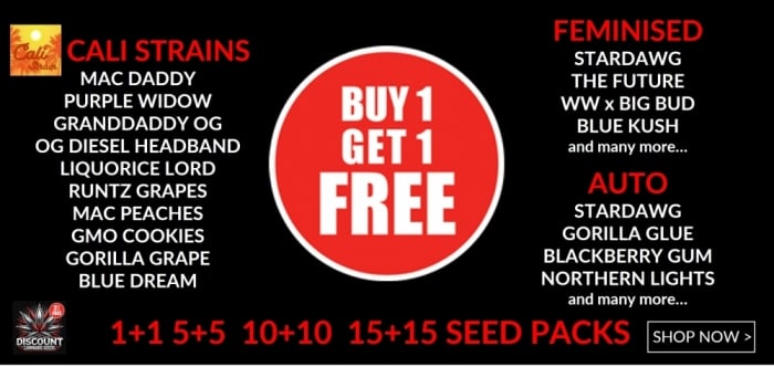 BOGOF - Discount Cannabis Seeds