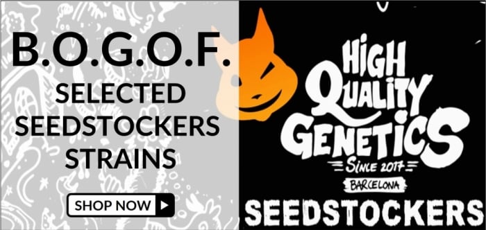 BOGOF Seedstockers - Discount Cannabis Seeds