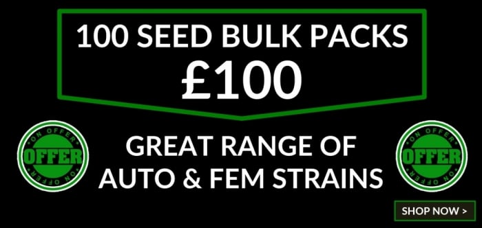 100 Seed Bulk Packs - Discount Cannabis Seeds