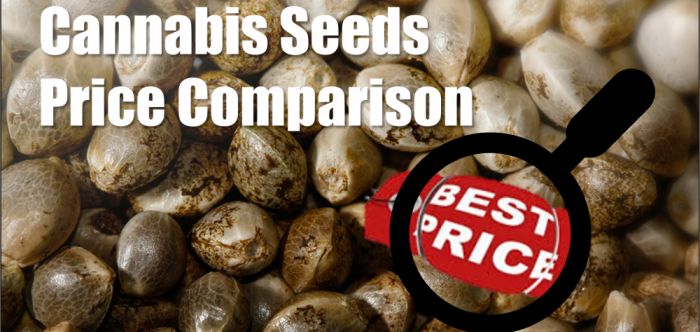 Cannabis Seeds Price Comparison