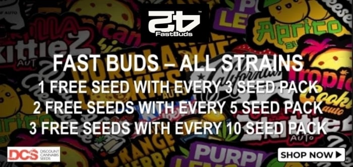 Free Fast Buds Seeds - Discount Cannabis Seeds