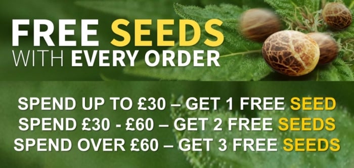 FREE Cannabis Seeds with every order | Discount Cannabis Seeds