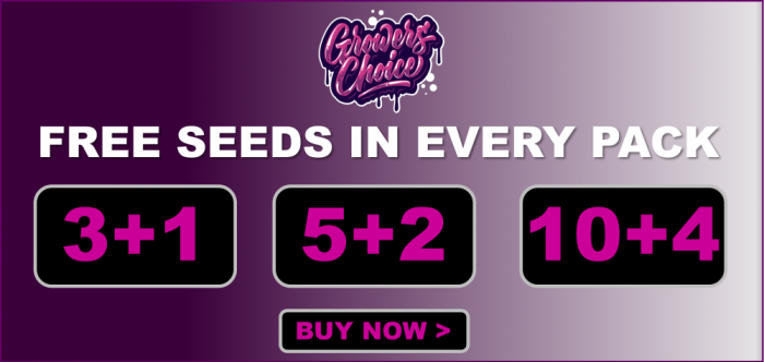 Growers Choice Free Seeds - Discount Cannabis Seeds