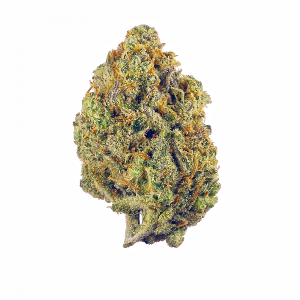 FAQs about Super Lemon Haze and Discount Cannabis Seeds.